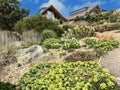 Scenic View of a Beautiful English Style Hyde Hall Garden with Green Lawn and blue sky, RHS garden,