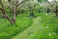 Grass Lawn Garden Path Royalty Free Stock Photo