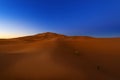 Scenic view of the beautiful Erg Chebbi dunes at dawn, in Morocco Royalty Free Stock Photo
