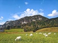 Scenic view of beautiful mountains landscape Royalty Free Stock Photo