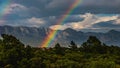 Scenic view of a beautiful rainbow over a thick forest landscape under a gloomy sky