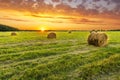 Scenic view at beautiful spring sunset in a green shiny field with green grass and golden sun rays, deep blue cloudy sky on a Royalty Free Stock Photo