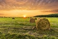 Scenic view at beautiful spring sunset in a green shiny field with green grass and golden sun rays, amazing sky on a background , Royalty Free Stock Photo