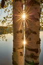 Scenic view at beautiful spring sunset on a shiny lake birch trees, golden sun rays and forest on a background Royalty Free Stock Photo
