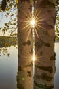 Scenic view at beautiful spring sunset on a shiny lake birch trees, golden sun rays and forest on a background Royalty Free Stock Photo