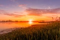 Scenic view of beautiful sunrise or dawn above the pond or lake at spring or early summer morning Royalty Free Stock Photo