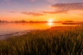 Scenic view of beautiful sunrise or dawn above the pond or lake at spring or early summer morning Royalty Free Stock Photo