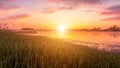 Scenic view of beautiful sunrise or dawn above the pond or lake at spring or early summer morning. Royalty Free Stock Photo