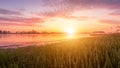 Scenic view of beautiful sunrise or dawn above the pond or lake at spring or early summer morning. Royalty Free Stock Photo