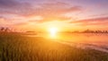 Scenic view of beautiful sunrise or dawn above the pond or lake at spring or early summer morning. Royalty Free Stock Photo