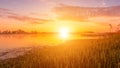 Scenic view of beautiful sunrise or dawn above the pond or lake at spring or early summer morning. Royalty Free Stock Photo