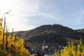 View at Bernkastel-Kues and Landshut castle on the river Moselle in autumn with multi colored vineyard in the foreground Royalty Free Stock Photo
