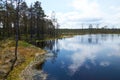 Scenic view of the big bog lake waterside in Estonia