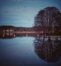 scenic view of birds flying over lake against sky Royalty Free Stock Photo