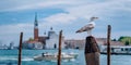 Scenic view of blurred Venice panorama of Venice`s embankment with seagull in front. Most popular touristic attraction
