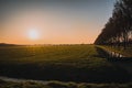 Scenic view of the bright sun shining on the field at sunset