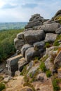 Scenic view of Brimham Rocks Royalty Free Stock Photo