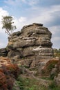 Scenic view of Brimham Rocks Royalty Free Stock Photo