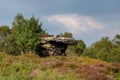 Scenic view of Brimham Rocks Royalty Free Stock Photo