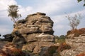 Scenic view of Brimham Rocks Royalty Free Stock Photo