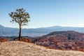 Scenic view of Bryce Canyon Royalty Free Stock Photo