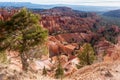 Scenic view of Bryce Canyon Royalty Free Stock Photo