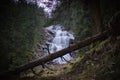 Scenic view of a cascade surrounded by evergreen trees in a magical forest Royalty Free Stock Photo