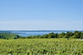 Scenic view of lakeshore with vineyard, Michigan