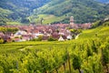 Scenic view of the city of Kaysersberg in France, surrounded by lush vineyards