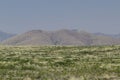 Scenic view from City of Rocks state park, New Mexico. Royalty Free Stock Photo