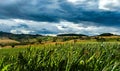 Scenic view of cloudy sky over a stormy landscape in Livradois Forez, Puy de ome, France