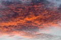 Altocumulus clouds at sunset Royalty Free Stock Photo