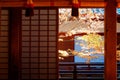 Scenic view of a colorful maple tree in the courtyard garden behind the sliding screen doors shoji Royalty Free Stock Photo