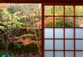 Scenic view of colorful maple trees in the courtyard behind the sliding screen doors