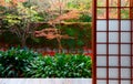 Scenic view of colorful maple trees in the courtyard garden behind the sliding grid doors ( Shoji ) Royalty Free Stock Photo