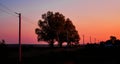 Scenic view of the colorful sunset with two trees standing by the side of a road Royalty Free Stock Photo