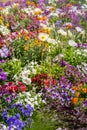 Scenic view of colourful flowerbeds in sunny day