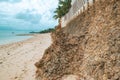 Scenic view of coral rocks on a wall at Malindi Beach in Malindi, Kilifi County, Kenya Royalty Free Stock Photo