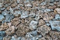 Scenic view of coral rocks on a wall at Malindi Beach in Malindi, Kilifi County, Kenya Royalty Free Stock Photo