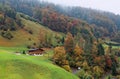 Scenic view of a country road & farmhouses by colorful autumn forests on the green grassy hillside