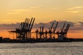 Scenic View of cranes at Hamburg Harbour durng sunset hour Royalty Free Stock Photo