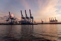 Scenic View of cranes at Hamburg Harbour durng sunset hour Royalty Free Stock Photo