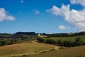 Scenic view of Creation Wine Estate in the Hemel en Aarde region of Hermanus, South Africa.