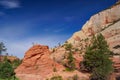 Scenic view of Cross beds of aeolian sandstone rock formations on Zion National Park Canyon Overlook hiking trail, Utah, USA Royalty Free Stock Photo