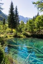 Bodental - Scenic view of crystal clear waters with submerged logs of Lake Meerauge
