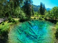 Bodental - Scenic view of crystal clear waters with submerged logs of Lake Meerauge