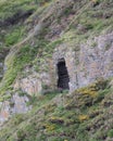 Scenic view of a dark cave entrance on a rocky cliff with yellow gorse bushes Royalty Free Stock Photo