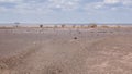 Scenic view of desert landscape in Loiyangalani District, Turkana County, Kenya