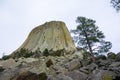 Devils Tower and Tree in a Barren Landscape Royalty Free Stock Photo