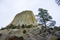 Devils Tower and Tree in a Barren Landscape